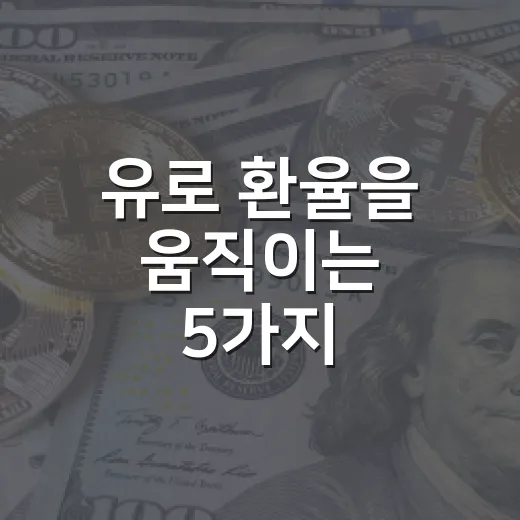 유로 환율을 움직이는 5가지 체크포인트 - 요약