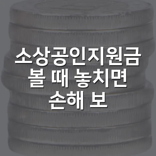 소상공인지원금 볼 때 놓치면 손해 보는 5가지 기준 - 요약