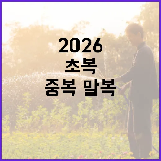 2026 복날 챙기는 방법, 초복·중복·말복 날짜와 준비 팁 - 요약
