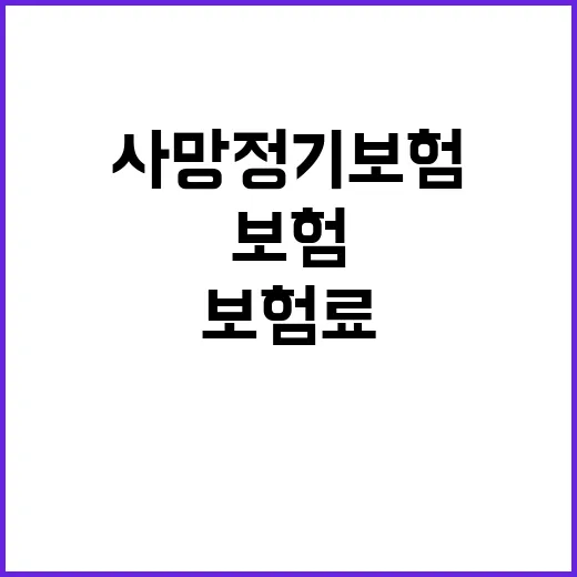 사망정기보험 고르는 방법, 보험료보다 먼저 볼 것들 - 요약