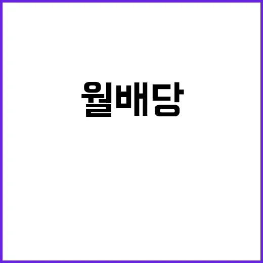 초보자가 배당ETF 시작하는 방법, 월배당보다 먼저 봐야 할 것들 - 요약