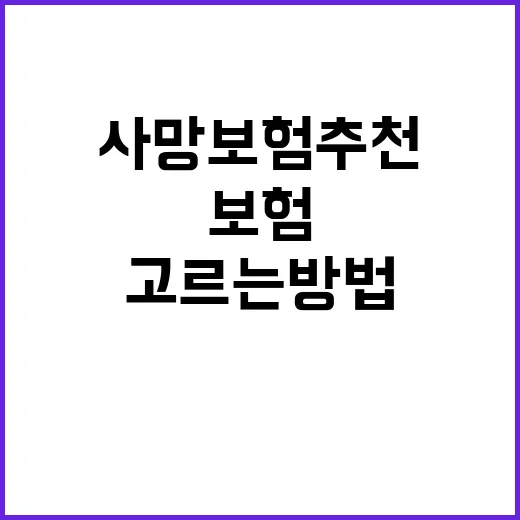 사망보험추천 받기 전에 내 상황에 맞게 고르는 방법 - 요약