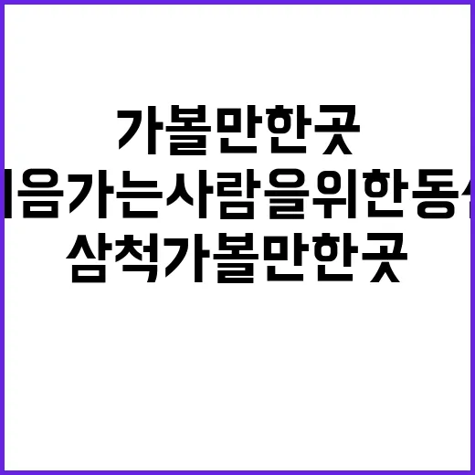 삼척가볼만한곳 처음 가는 사람을 위한 동선 짜는 방법 - 요약