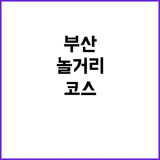 부산놀거리 제대로 즐기는 방법: 바다부터 야경까지 하루 코스 짜기 - 요약