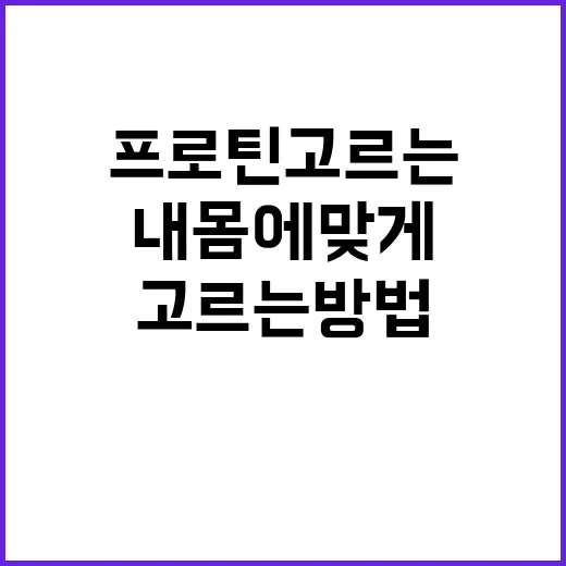초보자를 위한 프로틴 고르는 방법, 내 몸에 맞게 먹으려면 이렇게 - 요약
