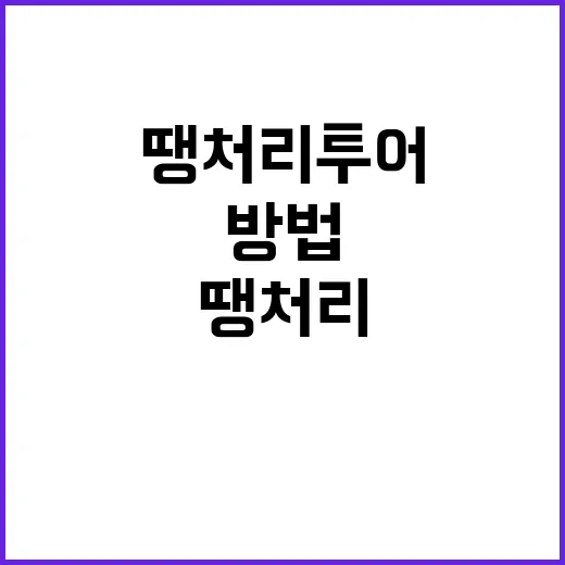 땡처리투어 제대로 고르는 방법, 싸다고 바로 예약하지 말고 이렇게 확인하세요 - 요약