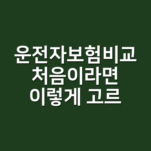 운전자보험비교 처음이라면 이렇게 고르면 덜 헷갈립니다 - 요약