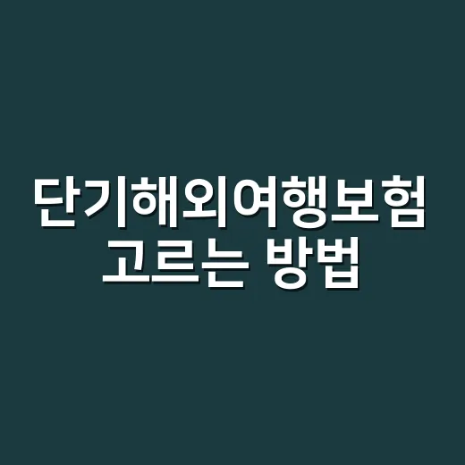 단기해외여행보험 고르는 방법, 출국 전 체크할 것만 딱 챙기려면 이렇게 - 요약