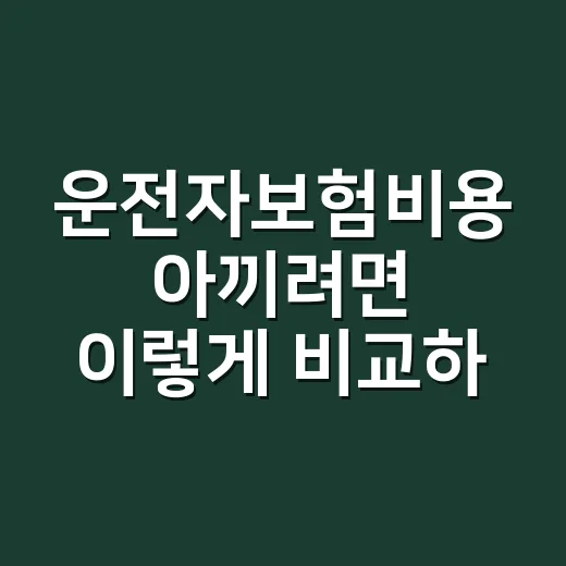 운전자보험비용 아끼려면 이렇게 비교하면 됩니다 - 요약