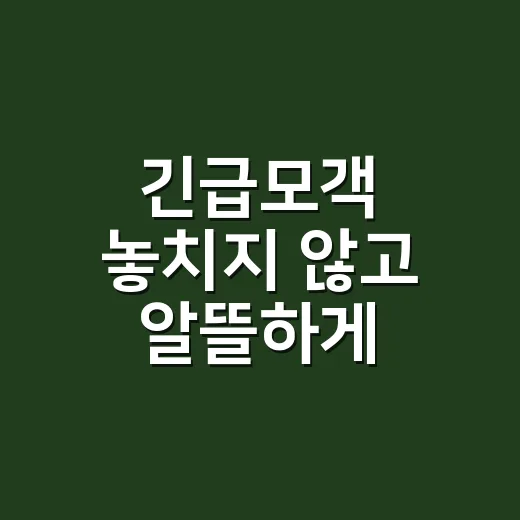 긴급모객 놓치지 않고 알뜰하게 이용하는 방법 - 요약