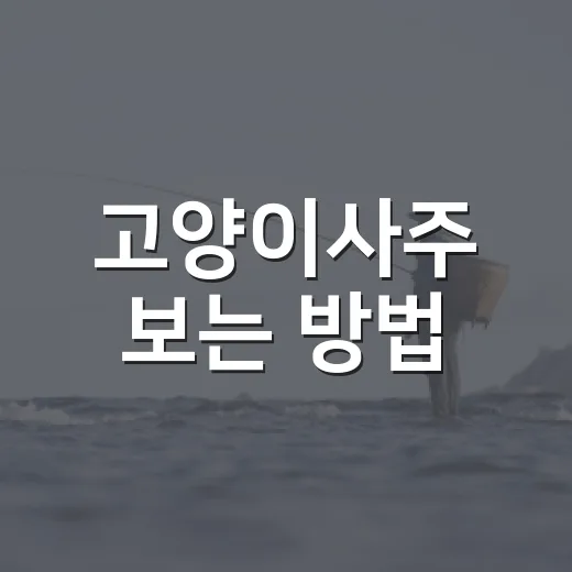 고양이사주 보는 방법, 재미로 읽고 생활에 활용하려면 이렇게 - 요약