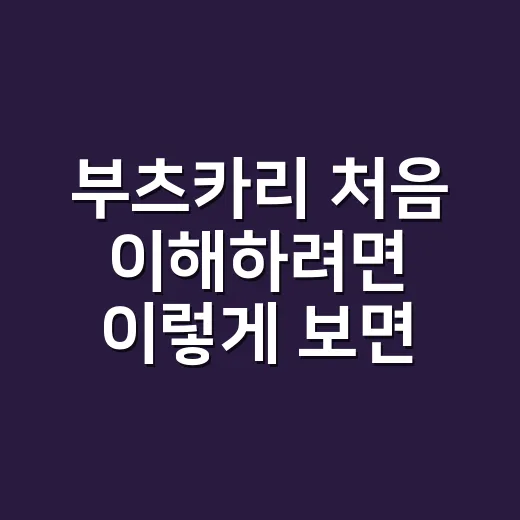 부츠카리 처음 이해하려면 이렇게 보면 됩니다 - 요약