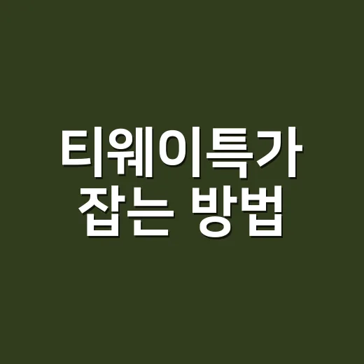 티웨이특가 잡는 방법, 초보자도 놓치지 않으려면 이렇게 움직이면 됩니다 - 요약
