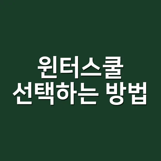 윈터스쿨 선택하는 방법, 처음 알아볼 때 놓치기 쉬운 기준들 - 요약