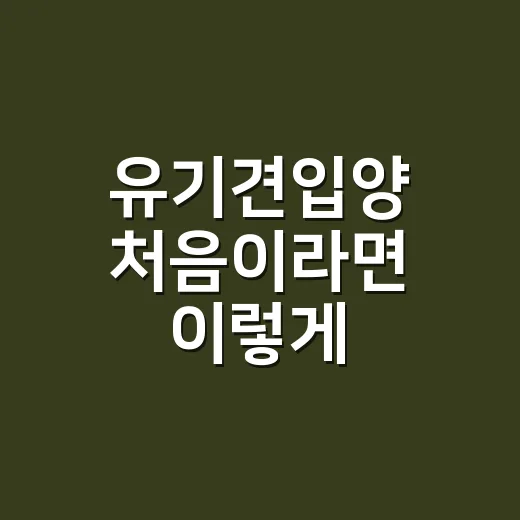 유기견입양 처음이라면 이렇게 준비하는 방법 - 요약