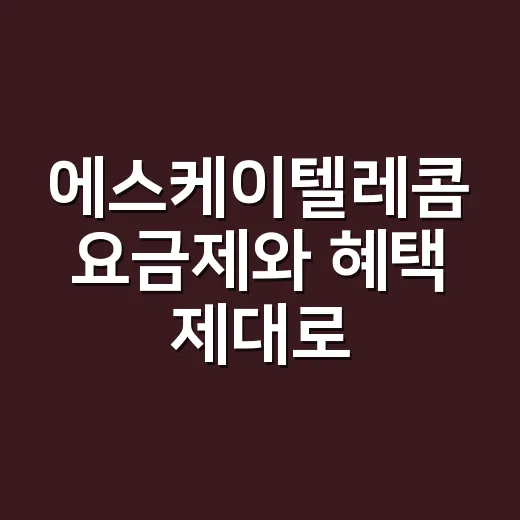 에스케이텔레콤 요금제와 혜택 제대로 확인하는 방법 - 요약