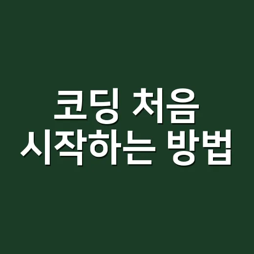 코딩 처음 시작하는 방법, 막막할 때 이렇게 잡으면 됩니다 - 요약