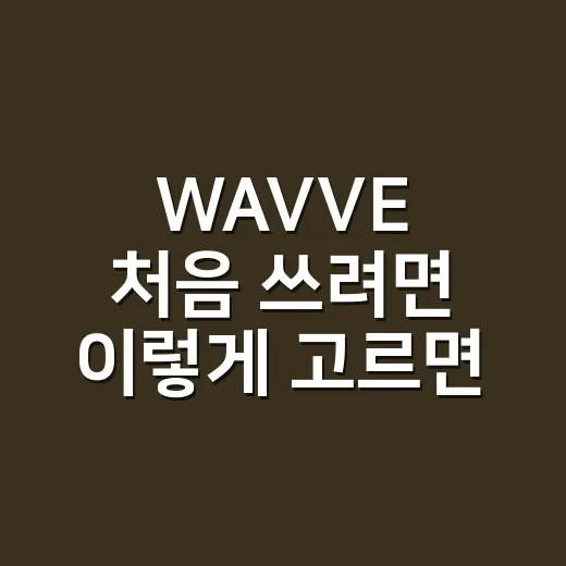 WAVVE 처음 쓰려면 이렇게 고르면 돈 덜 쓰는 방법 - 요약