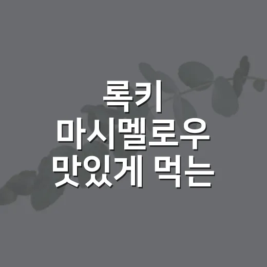 록키 마시멜로우 맛있게 먹는 방법, 그냥 먹기 아깝다면 이렇게 - 요약