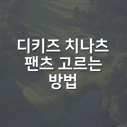 디키즈 치나츠 팬츠 고르는 방법, 초보자도 헷갈리지 않게 - 요약