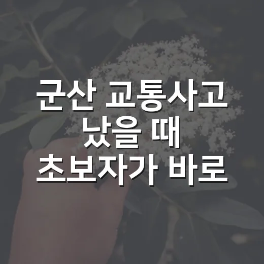 군산 교통사고 났을 때 초보자가 바로 처리하는 방법 - 요약