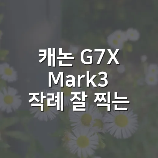 캐논 G7X Mark3 작례 잘 찍는 방법, 초보자가 바로 써먹는 설정 팁 - 요약