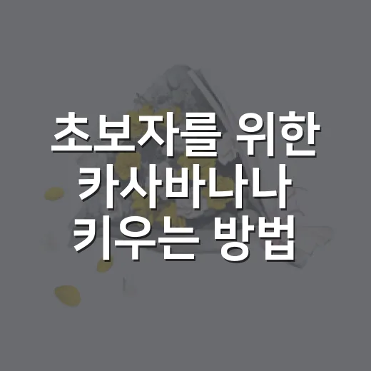 초보자를 위한 카사바나나 키우는 방법, 씨앗부터 열매까지 이렇게 준비하세요 - 요약