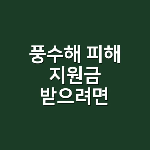 풍수해 피해 지원금 받으려면 이렇게 신고하세요 - 요약