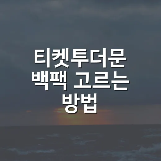 티켓투더문 백팩 고르는 방법, 15L 미니가 잘 맞는 사람은 따로 있어요 - 요약