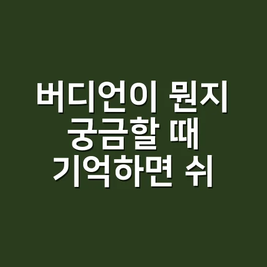 버디언이 뭔지 궁금할 때 기억하면 쉬운 방법 - 요약