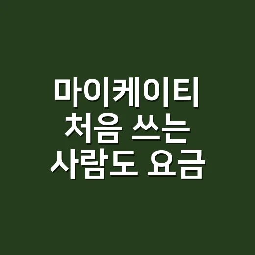 마이케이티 처음 쓰는 사람도 요금 조회부터 납부까지 쉽게 하는 방법 - 요약