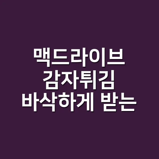 맥드라이브 감자튀김…