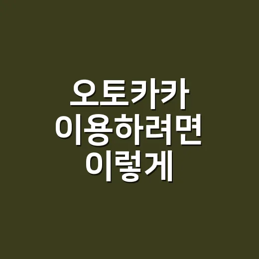 오토카카 이용하려면…