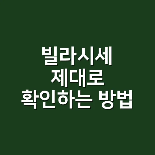 빌라시세 제대로 확…