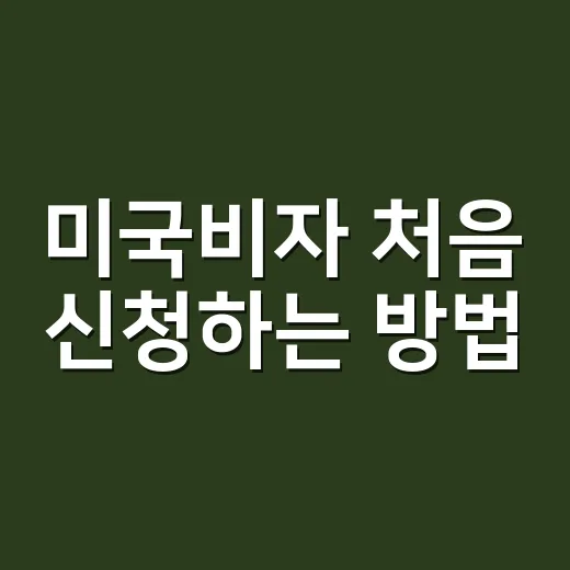 미국비자 처음 신청하는 방법, ESTA와 B비자부터 서류 준비까지 - 요약