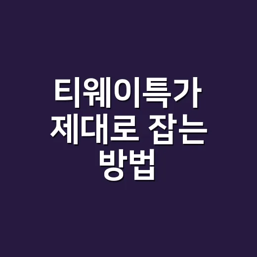 티웨이특가 제대로 잡는 방법, 초보자도 놓치지 않으려면 이렇게 - 요약