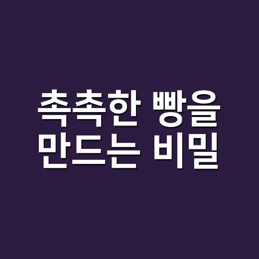 촉촉한 빵을 만드는 비밀, 제대로 알아보기 - 요약