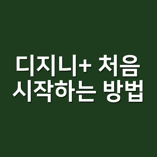 디지니+ 처음 시작하는 방법, 가입부터 시청 설정까지 이렇게 하면 편해요 - 요약