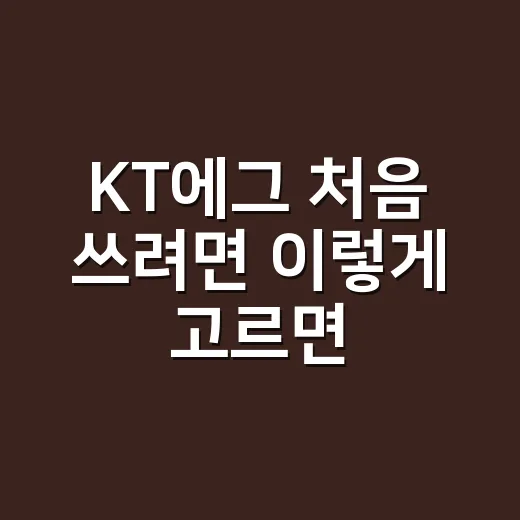 KT에그 처음 쓰려면 이렇게 고르면 됩니다 - 요약