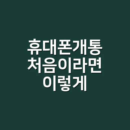 휴대폰개통 처음이라면 이렇게 준비하면 덜 헤맵니다 - 요약