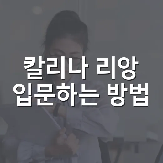칼리나 리앙 입문하는 방법, 작품 순서부터 이름 찾는 팁까지 - 요약