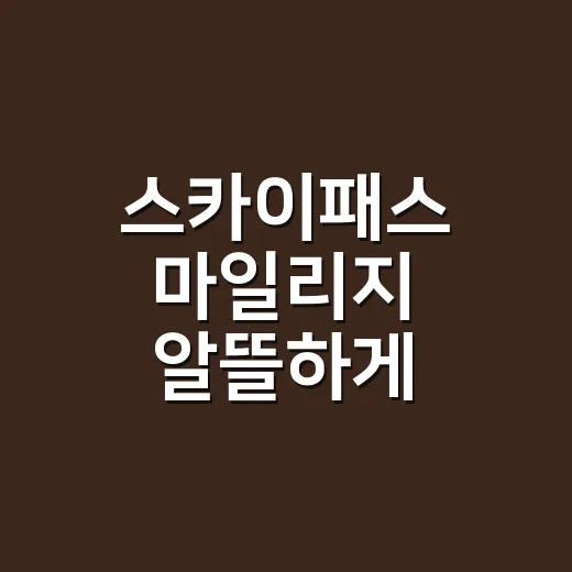 스카이패스 마일리지 알뜰하게 모으고 쓰는 방법 - 요약