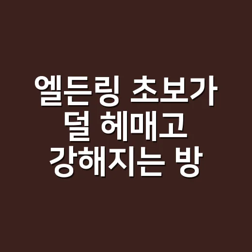 엘든링 초보가 덜 헤매고 강해지는 방법 - 요약