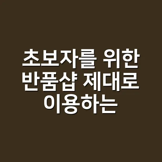 초보자를 위한 반품샵 제대로 이용하는 방법 - 요약