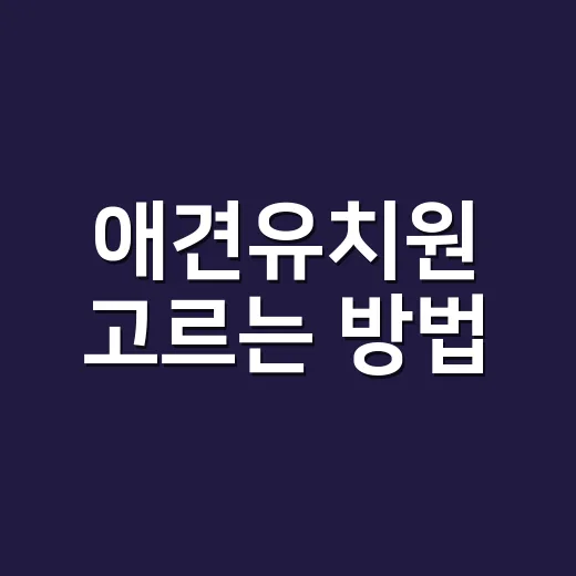 애견유치원 고르는 방법, 처음 보내려면 이렇게 확인하세요 - 요약