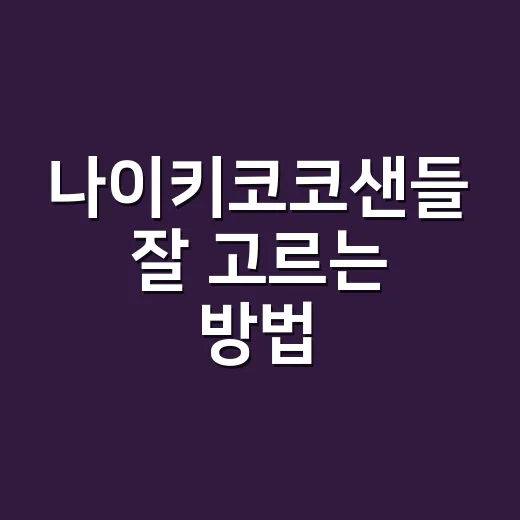 나이키코코샌들 잘 고르는 방법, 사이즈부터 코디까지 초보자도 이렇게 보면 편해요 - 요약