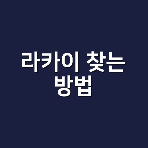 라카이 찾는 방법, 브랜드와 숙소 정보 헷갈리지 않게 보는 법 - 요약
