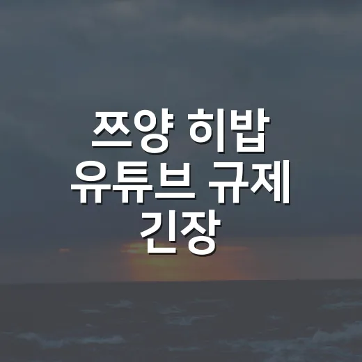 쯔양 히밥 유튜브 규제 긴장, 먹방 채널이 먼저 확인할 5가지 방법 - 요약
