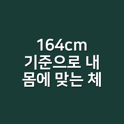 164cm 기준으로 내 몸에 맞는 체중과 옷핏 잡는 방법 - 요약
