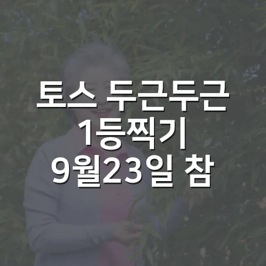 토스 두근두근 1등찍기 9월23일 참여하려면 이렇게 확인하세요 - 요약